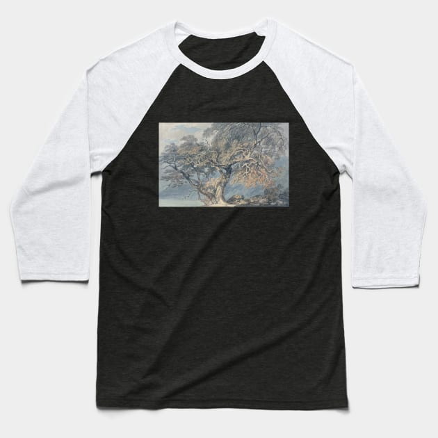 A Great Tree, 1796 Baseball T-Shirt by Art_Attack